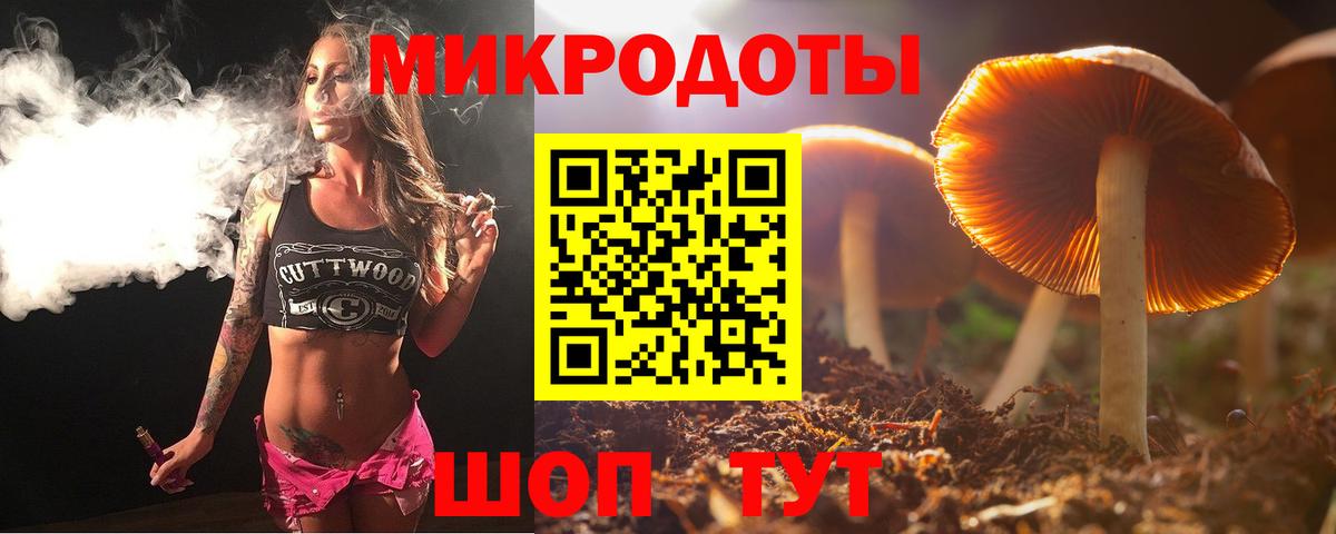 ГАШИШ Северск